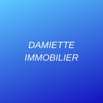 logo Damiette Immmobilier
